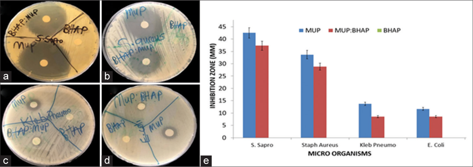Evaluation of antibacterial activity of MUP, MUP: BHAP, and BHAP on (a) Staphylococcus saprophyticus, (b) Staphylococcus aureus, (c) Klebsiella pneumonia, and (d) Escherichia coli (e) Inhibition zone of varying organisms when exposed to MUP, MUP: BHAP and BHAP. MUP: Mupirocin, BHAP: HAP isolated from bovine bones, HAP: Hydroxyapatite.