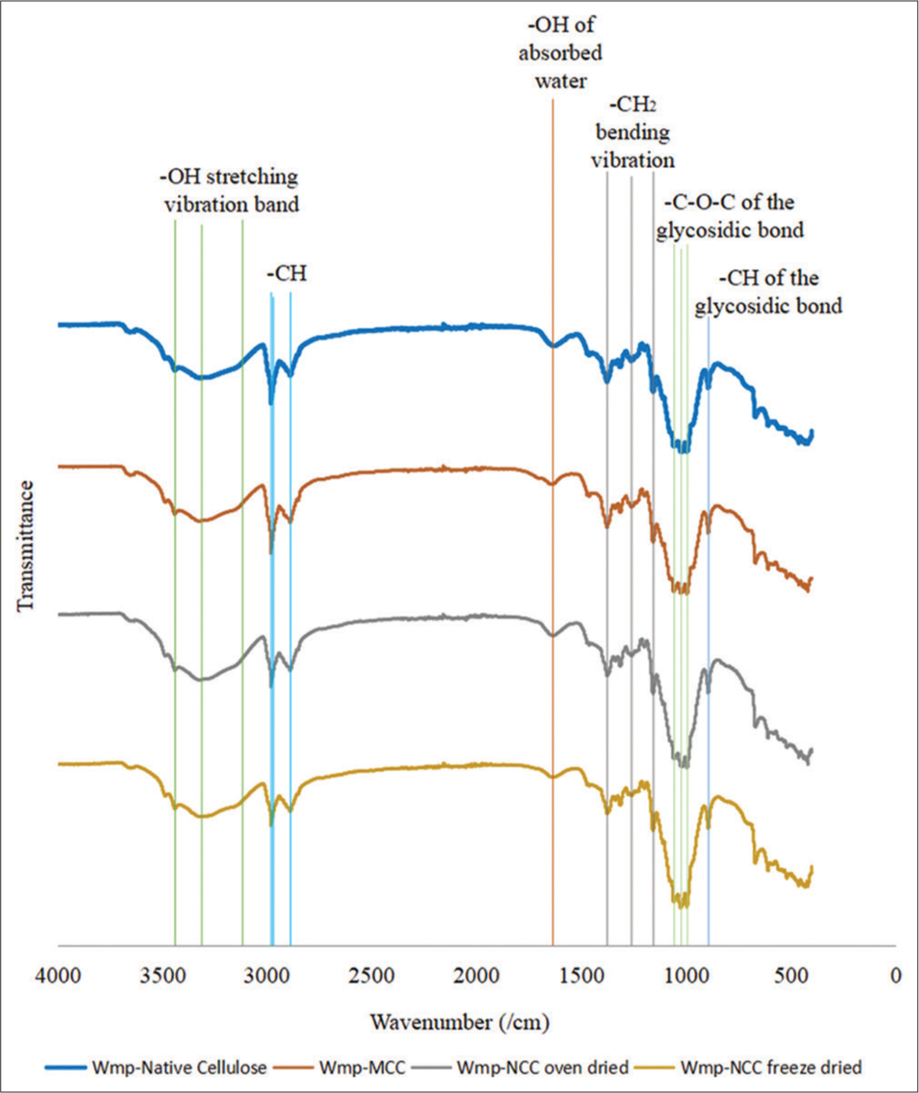 Fourier transform infrared spectra of watermelon peel native cellulose, watermelon peel microcrystalline cellulose, watermelon peel oven-dried nanocrystalline cellulose (WmpNCCoven dried), and watermelon peel freeze-dried nanocrystalline cellulose (Wmp-NCCfreeze dried).