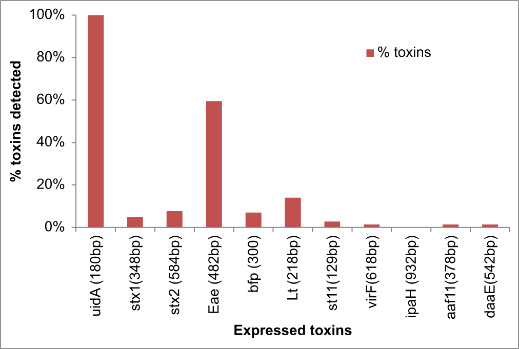 Percentage Toxins detected from Escherichia coli isolated from all (Stool and water) samples.